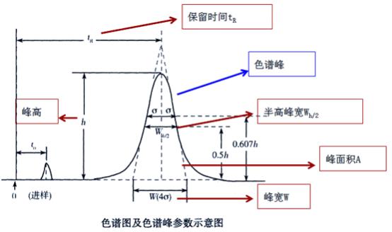 2016年执业药师《药学知识一》考试真题(3)