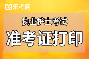 河南执业护士准考证打印入口：中国卫生人才网