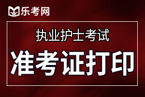 河南执业护士准考证打印入口：中国卫生人才网